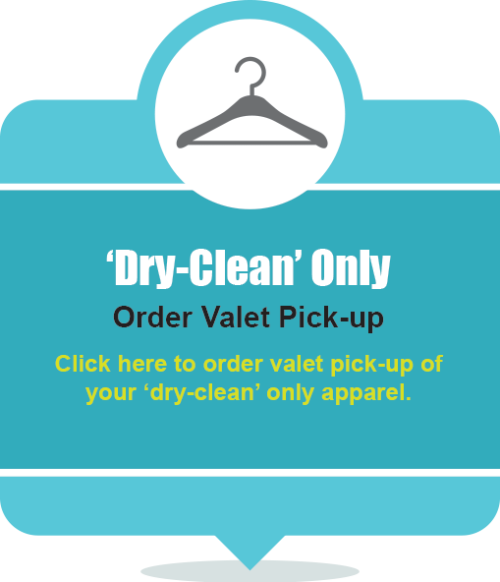 DryCleanValet