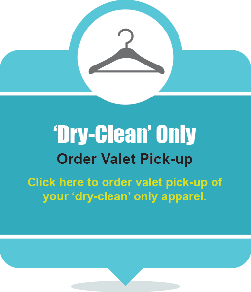 DryCleanValet